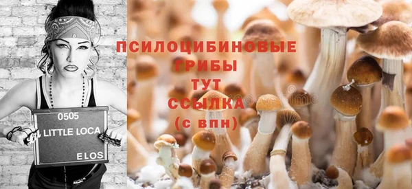 стаф Покровск