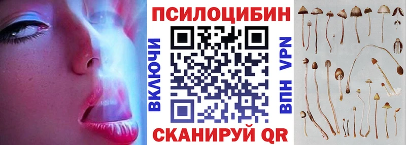 Галлюциногенные грибы прущие грибы  omg как зайти  Ильский  дарнет шоп 